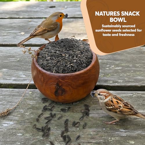 6 Pound Black Oil Sunflower Seeds for Birds – Premium Wildlife Food – Non - GMO -Grown in the USA - Black Oil Sunflower Seeds for Wild Animals and Backyard Feeders
