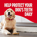 Milk-Bone Brushing Chews Original Chicken Flavor Daily Dental Dog Treats, Large, 33.7 Oz. Bag