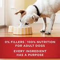 Purina ONE Classic Ground Chicken and Brown Rice Entree Adult Wet Dog Food - (Pack of 12) 13 oz. Cans