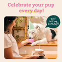 WOOF Party Pupsicle - Long-Lasting Interactive Dog Toys for Boredom - Low-Mess Design - Birthday Gifts for Dogs - Large Dog Toys - Party Pink