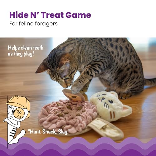Catstages Snuffle Mat for Cats - Interactive Foraging Toy with Hidden Treats, Non-Slip Base, and Hunting Stimulation for Mental and Physical Activity, 8.7" x 6"