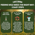 Wild Bird Seed for Outside Feeders – Premium Songbird Blend with Black Oil Sunflower, Safflower, Millet & Peanut Pieces – Bird Food for Cardinals, Finches & Songbirds – 5 lb Bag