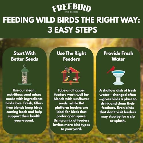 Wild Bird Seed for Outside Feeders – Premium Songbird Blend with Black Oil Sunflower, Safflower, Millet & Peanut Pieces – Bird Food for Cardinals, Finches & Songbirds – 5 lb Bag
