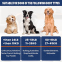 FURWEY Tennis Balls for Dogs 16 Pack,2.5 inches,Durable and Non-Toxic Dog Toys Balls with Mesh Bag,Colorful Fetch Toys Balls for pet Dog (Non Squeaky)