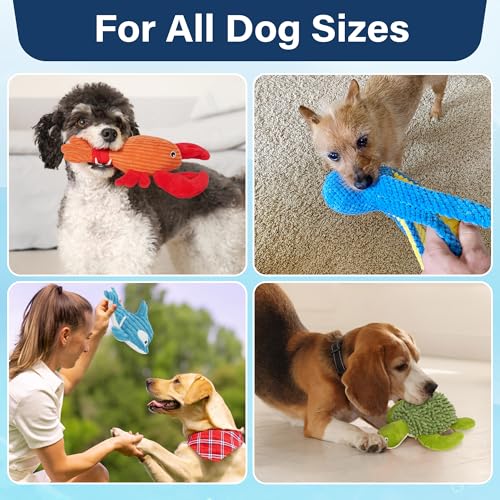 Pets Dog Toys, 5 Pack, Plush Crinkle Squeaky Dog Toys, Durable Stuffed Pet Toy for Small Medium Large Breeds, Puppy Chew Toy, Dog Birthday Gifts