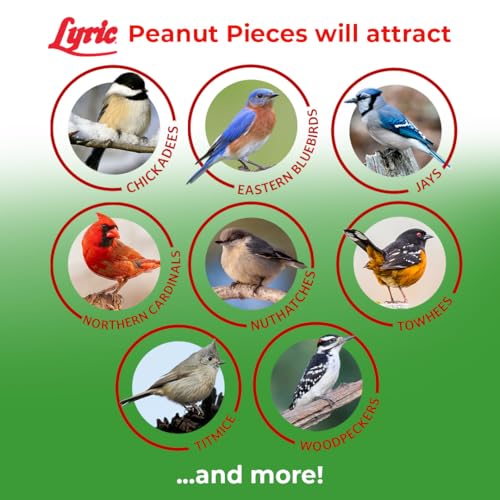 Lyric Peanut Pieces Wild Bird Seed 15 lb Bag - Shelled Peanuts Wild Bird Food for Outside Feeders - Attracts Titmice, Woodpeckers, Chickadees & More