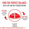 Royal Canin Feline Health Nutrition Adult Instinctive Adult Thin Slices in Gravy Cat Food, 3 oz (Pack of 24)