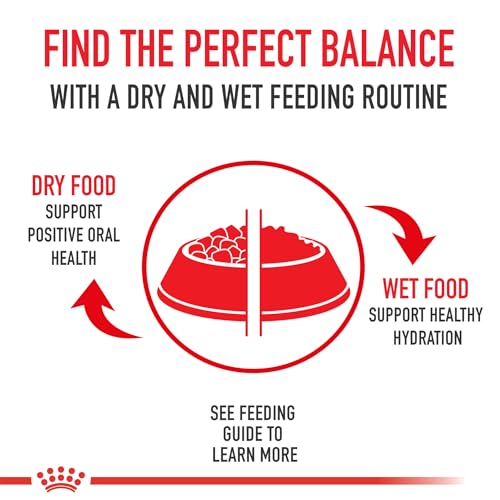 Royal Canin Feline Health Nutrition Adult Instinctive Adult Thin Slices in Gravy Cat Food, 3 oz (Pack of 24)