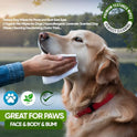 Petazy Pet Wipes for Dogs and Cats – 400 Count (8x8in) Hypoallergenic, Deodorizing Dog Wipes for Paws, Ears and Butt | XL with Aloe & Coconut Oil, Lavender Scented | Includes 4 Grooming Glove Wipes