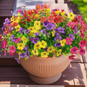 Artificial Flowers for Indoor & Outdoor Decoration - 12 Bundles Faux Daisies with Eucalyptus Leaves Fake Greenery for Garden, Home, Porch, Patio, Boxwood (12 Pcs Mix Pink Red Purple Yellow)