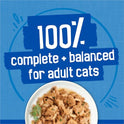 Purina Friskies Wet Cat Food Variety Pack, Oceans of Delight Flaked and  Filets - (Pack of 40) 5.5 oz. Cans
