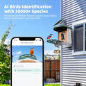 HARYMOR Bird Feeder with Camera with AI Identify Birds Species Solar Powered, Smart Bird House with Cam, 2K HD Video Live Stream, Instant Arrival Alerts - Green