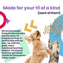I and love and you Naked Essentials Dry Cat Food - Salmon + Trout - Grain Free, Real Meat, No Fillers, Prebiotics + Probiotics, 3.4lb Bag