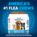 Chewable Flea and Tick Prevention for Dogs - 120 Soft Chews Made in USA - Oral Flea and Tick Control Pills for Small, Medium, Large Dogs and Puppies - Skin and Coat Supplement Treats for All Breeds