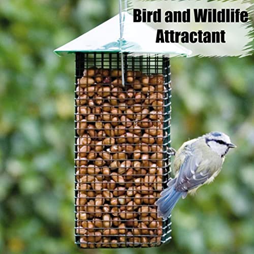 Old Potters Organic Shelled Peanuts, 10 lbs for Birds and Squirrels. USA Grown Non-GMO, Raw, Wildlife Grade