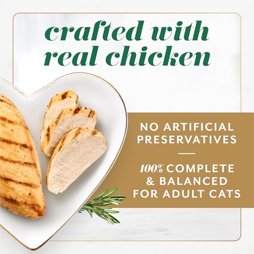 Fancy Feast Gems Pate Cat Food Mousse With Chicken and a Halo of Savory Gravy Cat Food - (Pack of 8) 4 oz. Boxes