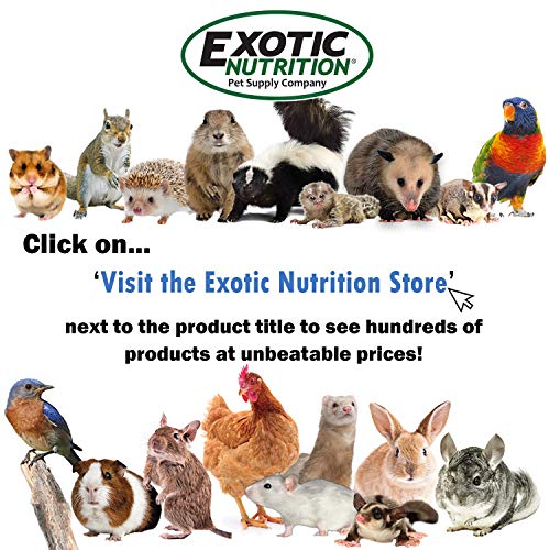 Berries & Bugs 1.5 lb - All Natural High Protein High Fiber Food for Hedgehogs, Skunks, Opossums, Sugar Gliders - Universal Insectivore Diet with Fruit, Gut-Loaded Insects, & Healthy Vitamins