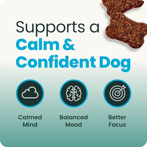VetriScience Calm & Confident Chews, Composure Clinically Tested Calming and Anxiety Supplement for Dogs, Reduce Stress and Fear, Ideal for Thunderstorms, Fireworks and Travel, Chicken, 120 Count