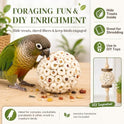 Bird Toys Sola Balls 2.36'' - 6PCS, Bird Foraging Toy, Soft Sola Atta Ball, Parrot Chew Shred Toy for Sharpening Claws and Beaks for Cockatiel, Parakeets, Conure, Love Birds, Budgie and Small Birds