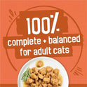 Purina Friskies TurChicken Turkey and Chicken Wet Cat Food Variety Pack with Meaty Bits,  Filets, and Extra Gravy, 48 ct.