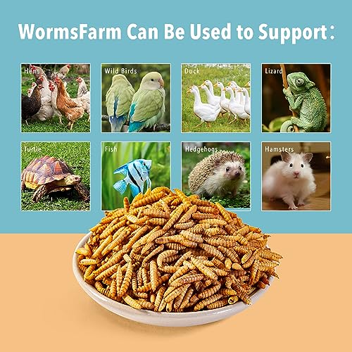 WormsFarm 5LB Dried Black Soldier Fly Larvae Treat for Chicken More Calcium Than Mealworms,for Laying Hen,Wild Birds (5 Pound)