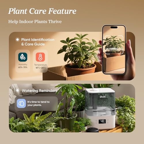 LEVOIT Humidifiers for Bedroom Large Room Home, (6L) Cool Mist Top Fill Essential Oil Diffuser for Baby & Plants, Smart App & Voice Control, Rapid Humidification & Auto Mode - Quiet Sleep Mode, Gray