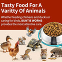 BUNTIE WORMS Dried Black Soldier Fly Larvae 10LB, 100% Natural Non-GMO, No Additives, Treat for Chickens, Reptiles and Birds, More Calcium Than Mealworms