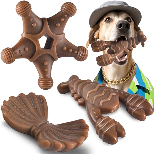 NEZIN Dog Toys for Aggressive Chewers, Indestructible Toys for Large Dogs, Dog Chew for Large Medium Small Breed, 3 Pack Super Chewer with Tough Nylon, Gift for Dogs