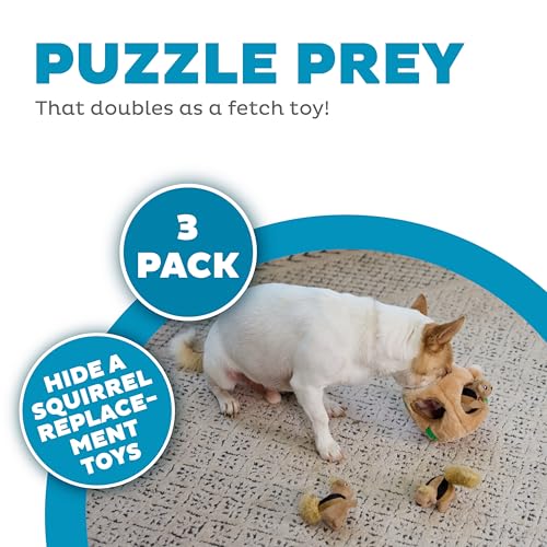 Outward Hound Squeakin’ Squirrels – 3‑Pack Plush Squeaky Dog Toys for Puppies, Small Dogs & Hide-A-Squirrel Replacements