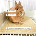Oncpcare 2PCS Rabbit Scratch Mat Natural Bunny Scratching Pad Claws and Teeth Care Rabbit Mats for Cages Chew Toys for Bunny Pet Cage Bedding for Biting Sleeping Nesting, 16x12