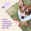 Wellness Old Mother Hubbard Classic P-Nuttier Dog Biscuits, Natural Training Treats, Peanut Butter Flavor, Mini Size, 6 lb Box