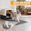 Pieviev Cat Litter Mat Double Layer Waterproof Urine Proof Trapping Mat 1 Pack (Gray, 24x15 Inch (Pack of 1))