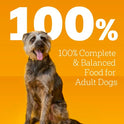 Pedigree Chopped Ground Dinner Wet Dog Food Filet Mignon & Beef Variety Pack, Canned Dog Food, 13.2 oz. Cans, 12 Count