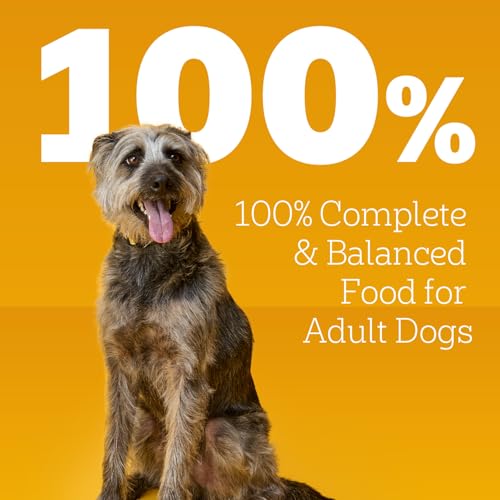 Pedigree Chopped Ground Dinner Wet Dog Food Pouches Variety Pack, 3.5 oz Pouches, 30 Count