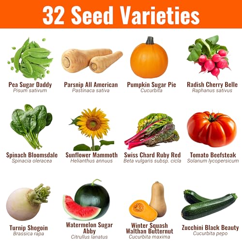 Vegetable & Fruit Seeds, 32 Packs, Non-GMO, 15,000+ Seeds