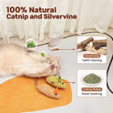 Potaroma Cat Toys: 3pcs Squeak Mice Interactive Catnip Silvervine Animals for Indoor Kittens - Dental Matatabi Cat Nip & Chew Exercise Toy for All Breeds & Species