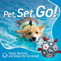 QDAN Dog Balls, World Cup Soccer Ball with Straps, Durable Herding Balls for Small Medium Pet, Puppy Birthday Gifts, Dog Water Toy, Pet Toys Puppy Ball (6 Inch)
