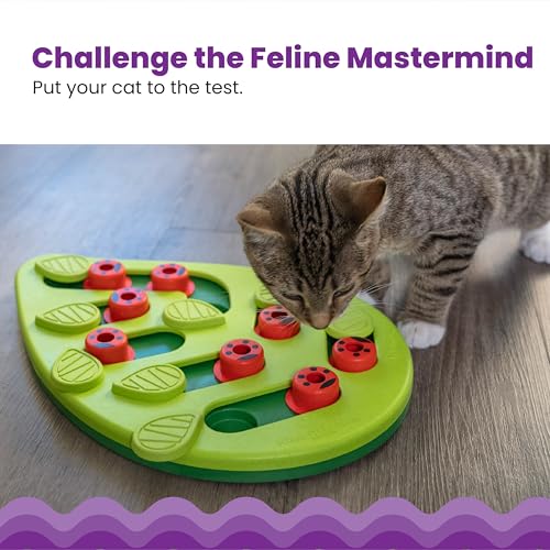 Catstages Nina Ottosson Buggin’ Out Puzzle & Play Cat Puzzle Feeder – Interactive Treat Game for Indoor Cats, Level 2 Slow Feeder Enrichment Toy, 13.9" x 11.5"