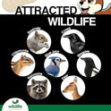 Wildlife Elements Peanut Party Unprocessed, Raw in-Shell Peanuts Wildlife Animal Food, 25lb - Rich in Protein, Healthy Fats, and Essential Nutrients for Birds, Squirrels and Waterfowl