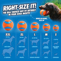 Chuckit! Sport 14S Ball Launcher for Small Dogs, 14-Inch Manual Thrower with 2-Inch Ball, Fits Dogs up to 20 lbs