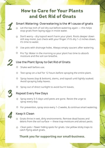 Kate's Home & Garden Plant Spray for Insects & Gnats, 12 Sticky Traps, 16oz | Pet Safe, Non Toxic, Peppermint Fungus Gnat Killer & Bug Spray for Indoor Plants