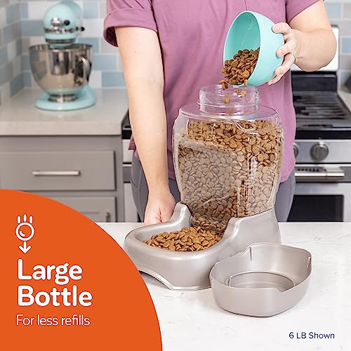 Petmate Pet Cafe Feeder Dog and Cat Feeder Pearlescent
