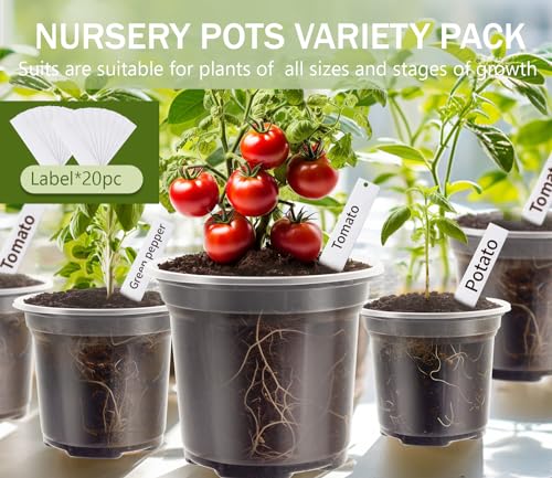 30 Packs Clear Nursery Pots for Plants, 3.5/4/5 Inch High Transparency Plastic Seedling Plant Pot with Drainage Holes, Includes 20 Labels