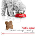 Royal Canin Size Health Nutrition Small Adult Dry Dog Food, 14 lb Bag