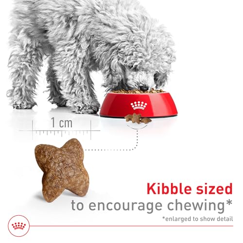 Royal Canin Size Health Nutrition Small Adult Dry Dog Food, 14 lb Bag