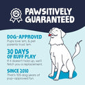goDog Furballz Squeaky Plush Ball Dog Toy, Chew Guard Technology - Rainbow, Large