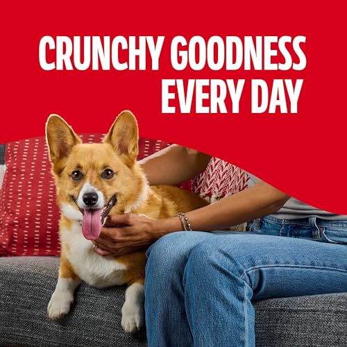 Milk-Bone Flavor Snacks Mini's Dog Biscuits, Flavored Crunchy Dog Treats, 2 Refill Packs, 35 Oz. Each (70 Oz. Total)