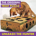 Cat Amazing Interactive Treat Maze and Puzzle CAT Toy