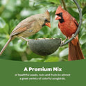 Kaytee Ultimate Birder's Blend Food, Wild Bird Seed For Grosbeaks, Cardinals, Nuthatches, Woodpeckers & More Outside Feeders, 10 Pound