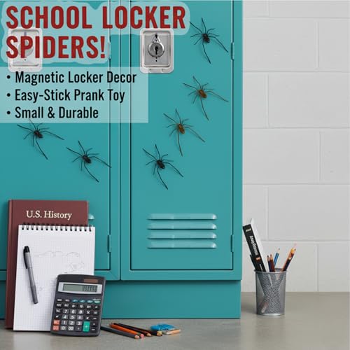 4PCS 3D Spider Fridge Magnet, Realistic Spider Magnets - Cute Removable Magnetic Decals for Refrigerator, Car, Garage Door, Indoor Outdoor Decor, The for Lovers of Unique Decor (Black)